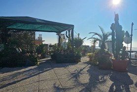 Appartamento - Genova