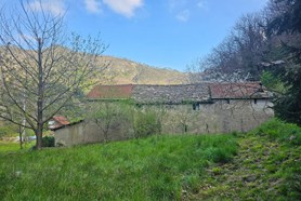 Rustico - Genova