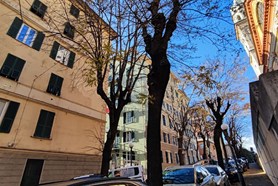 Appartamento - Genova