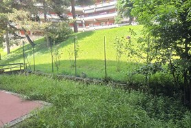 Appartamento - Genova