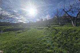 Villa Unifamiliare - Genova