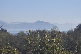 Villa Unifamiliare - Genova