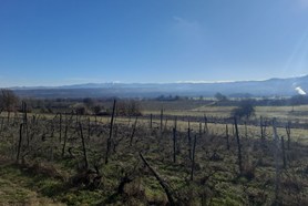 Cascina - Rocca Grimalda