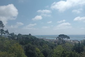 Appartamento - Genova