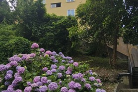 Appartamento - Genova